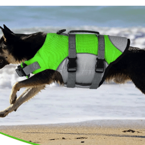 Gilet flotteur chien